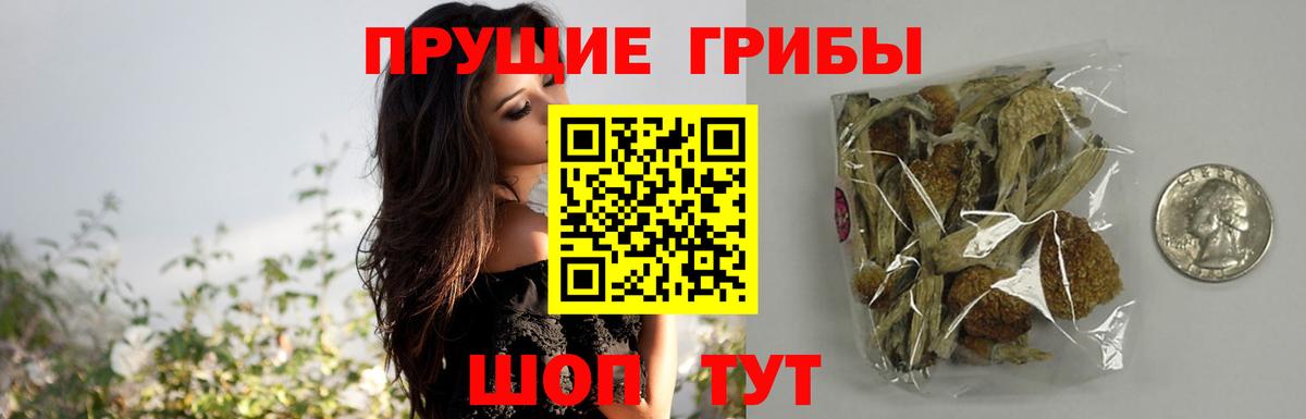 Галлюциногенные грибы MAGIC MUSHROOMS  Псилоцибиновые грибы GOLDEN TEACHER  Вход с VPN  Ухта 